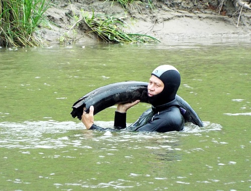 На дне реки Ишим туристы нашли бивни мамонта и челюсть пещерного медведя