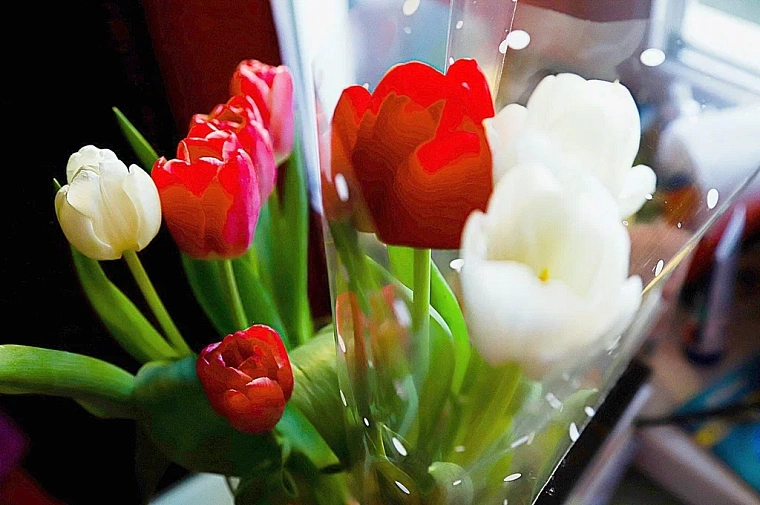 Как продлить жизнь цветов 8 Марта: советы экспертов