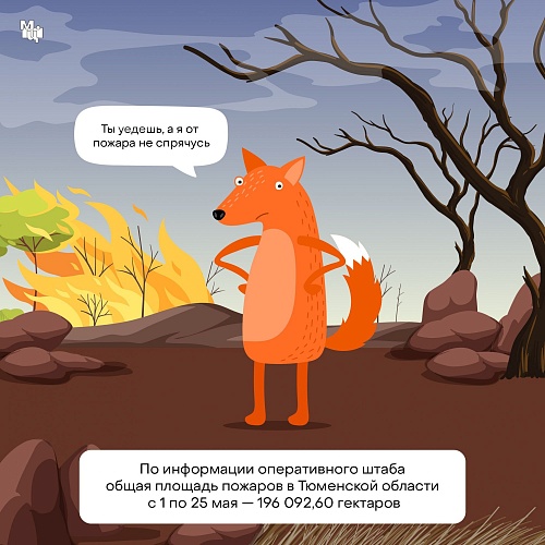 Тюменцам с помощью карточек расскажут, почему нельзя ходить в лес