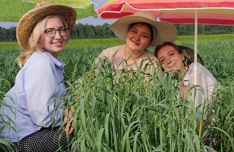 Молодые тюменские ученые выводят новые сорта зерновых