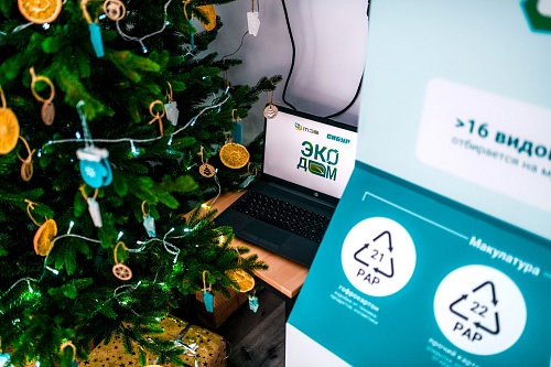 Тюменцев призывают начать новый год экологично