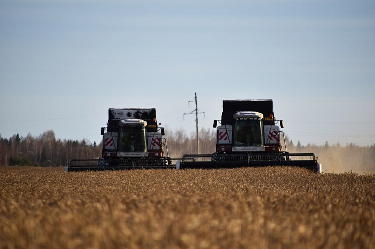 Тюменские аграрии собрали 1 миллион 685 тысяч тонн зерна