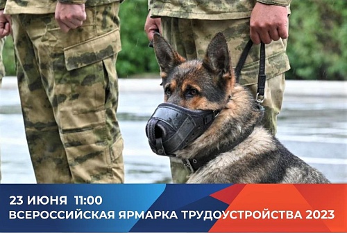 На ярмарке трудоустройства в Тюмени расскажут, как устроиться на работу в полицию