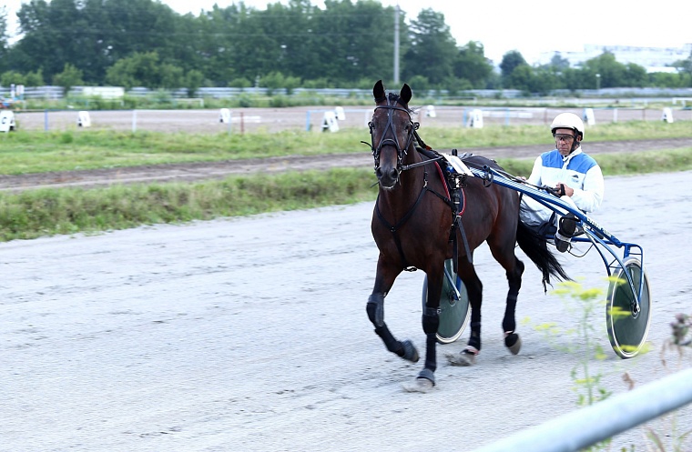 В Тюмени состоятся юбилейные «Скачки фаворитов»