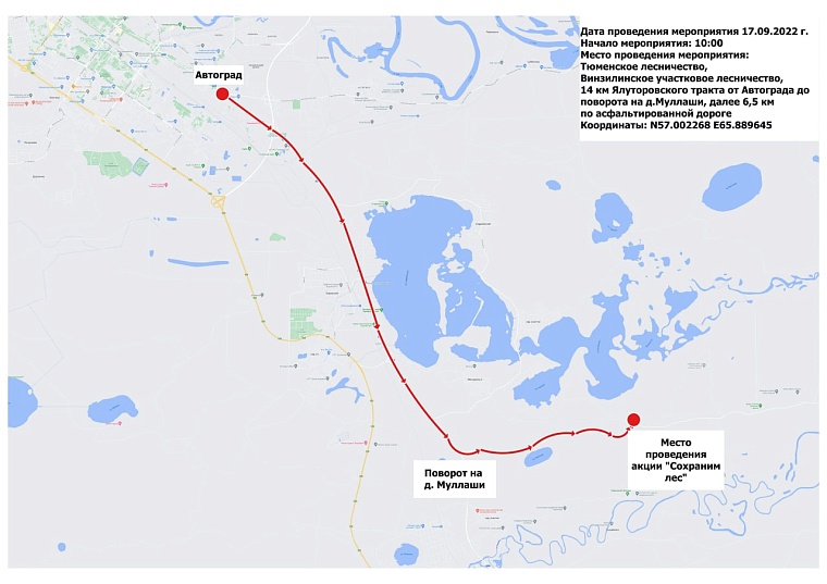 Тюменцев приглашают на акцию "Сохраним лес"