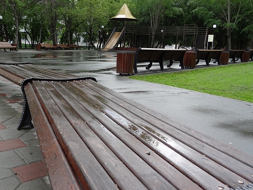 В Тюменской области пройдут дожди, местами с градом