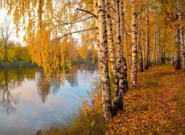 Фото: Pixabay