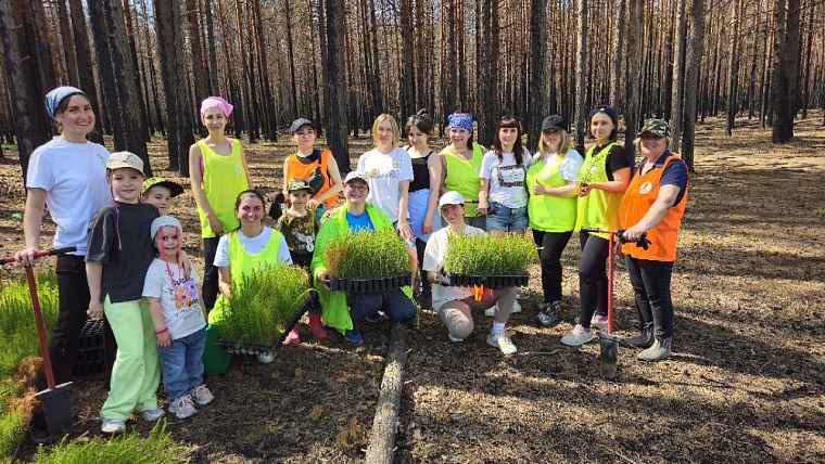 Поделиться добром: как стать волонтером с нуля