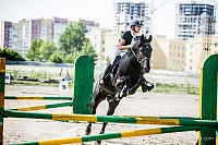 «Скачки фаворитов» собрали полные трибуны любителей конного спорта