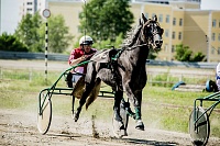 «Скачки фаворитов» собрали полные трибуны любителей конного спорта
