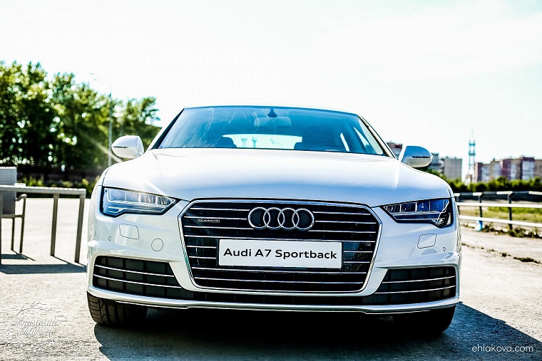 «Скачки фаворитов» собрали полные трибуны любителей конного спорта