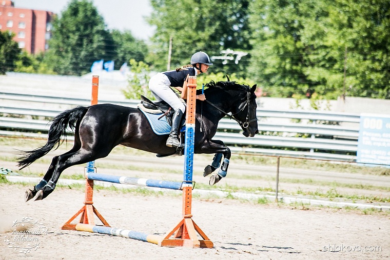 «Скачки фаворитов» собрали полные трибуны любителей конного спорта
