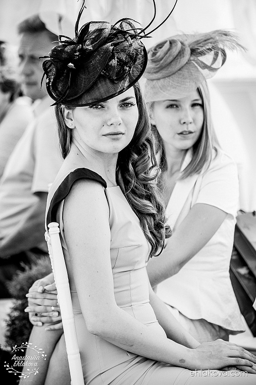 «Скачки фаворитов» собрали полные трибуны любителей конного спорта