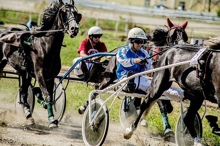 «Скачки фаворитов» собрали полные трибуны любителей конного спорта