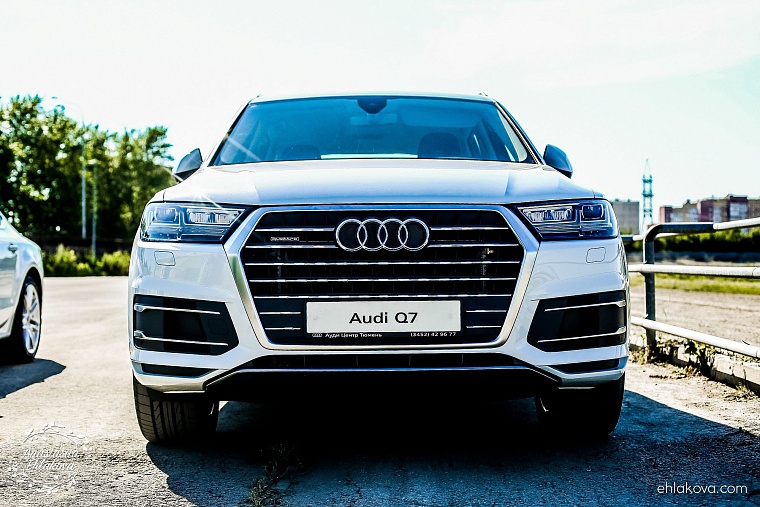 «Скачки фаворитов» собрали полные трибуны любителей конного спорта