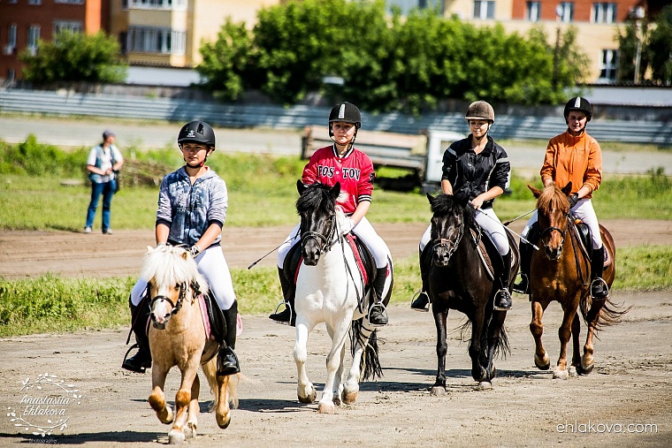 «Скачки фаворитов» собрали полные трибуны любителей конного спорта