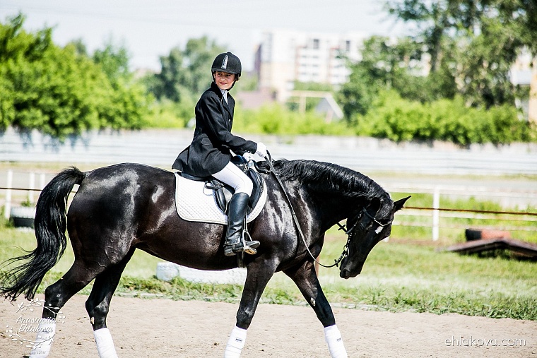 «Скачки фаворитов» собрали полные трибуны любителей конного спорта