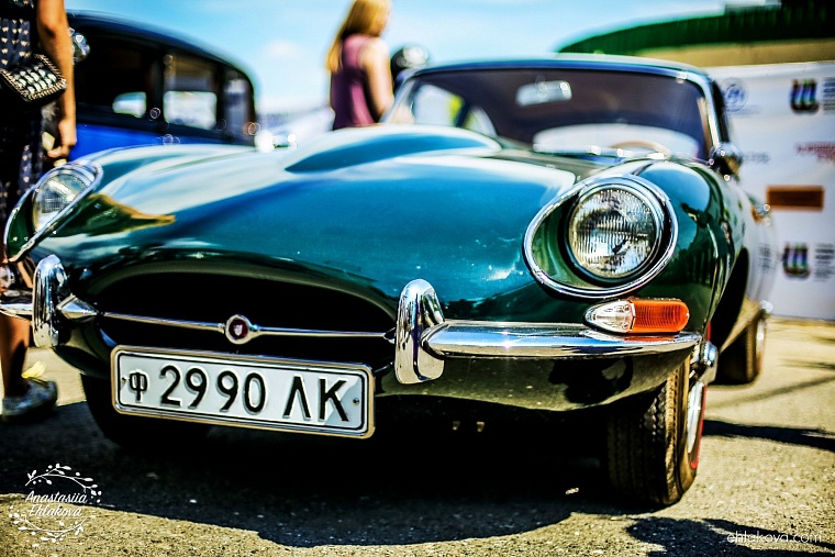 «Скачки фаворитов» собрали полные трибуны любителей конного спорта