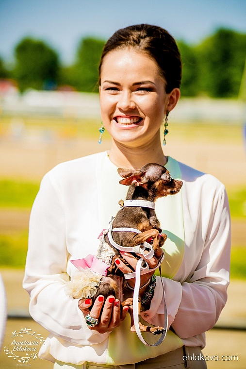 «Скачки фаворитов» собрали полные трибуны любителей конного спорта