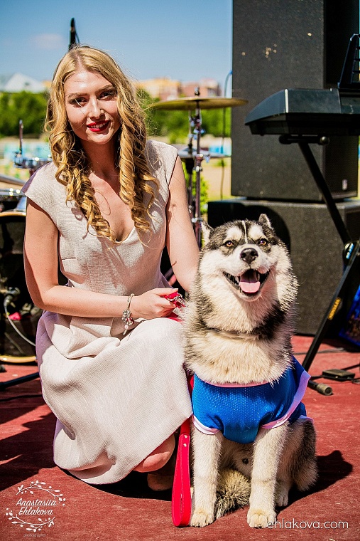 «Скачки фаворитов» собрали полные трибуны любителей конного спорта