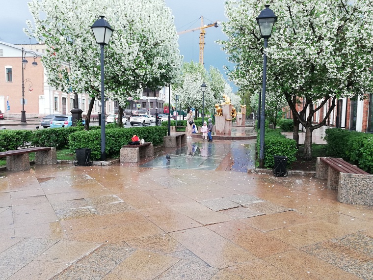 В Тюменской области прогнозируют грозы и сильный ветер