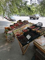 В Тюмени утилизируют более тонны овощей с уличных прилавков