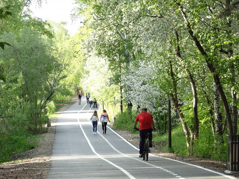 Клещи наступают: каждый второй пострадавший в регионе - в Тюмени и Тюменском районе