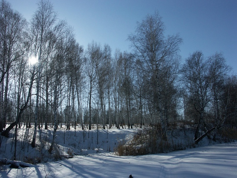 Каждый охотник желает знать: полезные ссылки для любителей охоты