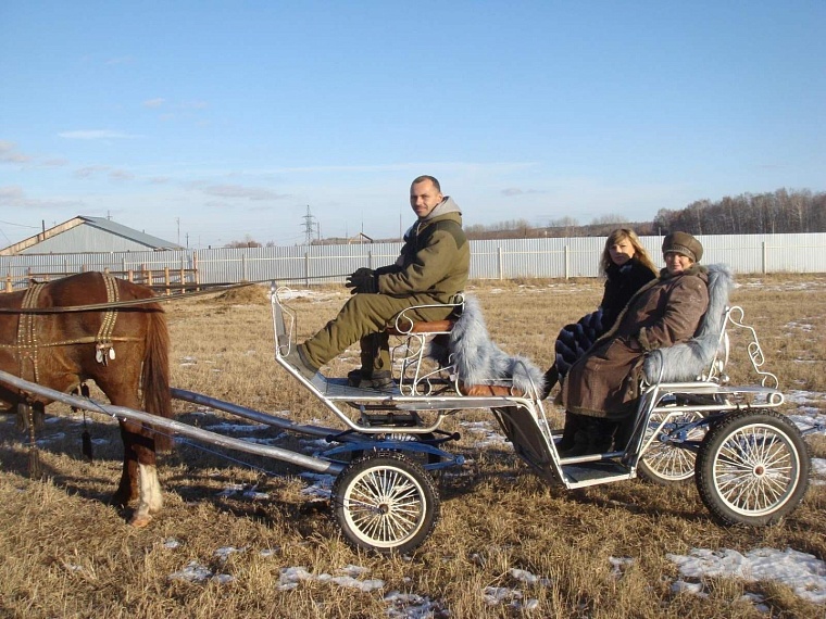В Тюмень с мечтой о страусах и лошадях. Хозяйка «Веселой фермы» делится деловым опытом