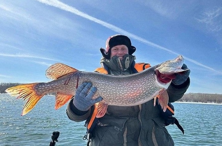 Рыбак поймал на Оби трех огромных щук