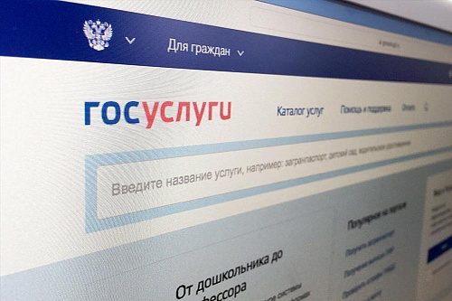 Здоровье, соцвыплаты, охота: самые популярные запросы на портале госуслуг от тюменцев