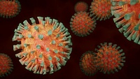 За последние сутки в Тюменской области выявили 49 случаев коронавируса