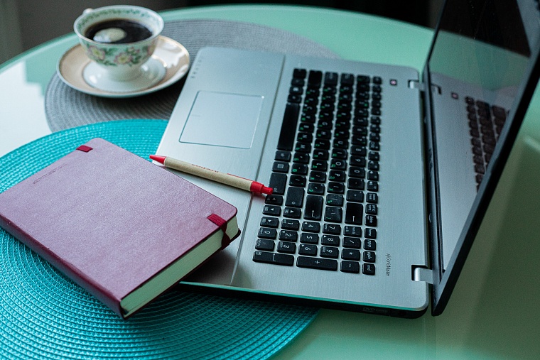 Пока вы спали: выставку "Россия" продлят, президент высказался о ценностях бойцов СВО, в лесах проложат тропинки для животных