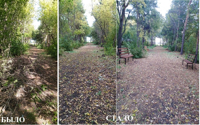 Голышмановские пенсионеры создали парк Здоровья