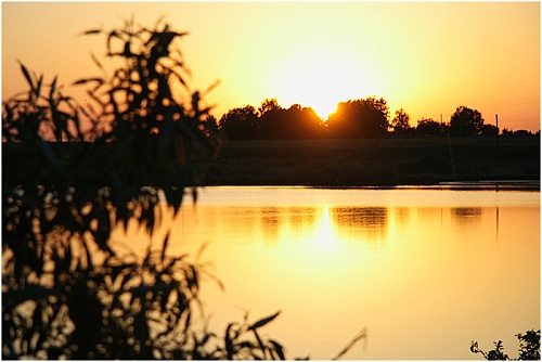 Народные приметы на 13 сентября: журавли низко летят - к теплой зиме