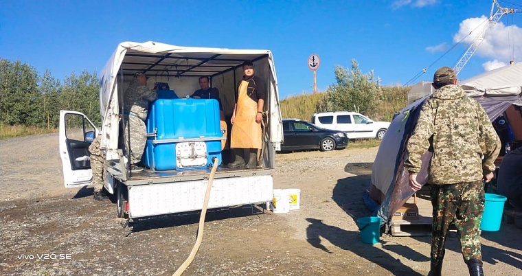 В тюменские реки выпустят более пятисот тысяч мальков осетра