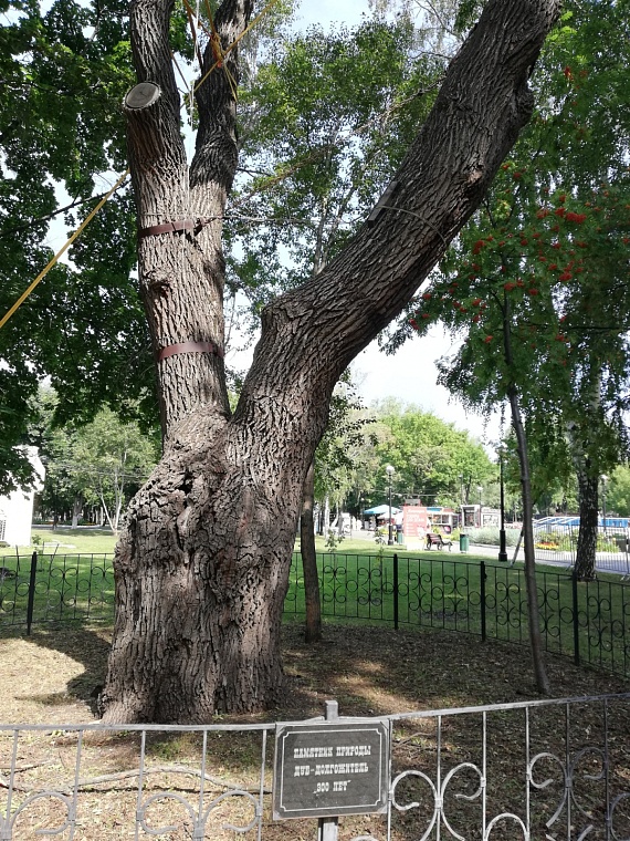 Отдыхаем в России. Как тюменцам попасть в Самару и что посмотреть