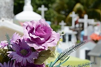 В Тюмени инвентаризация кладбищ закончится в 2021 году