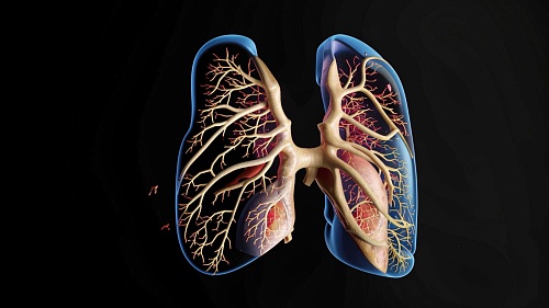Тюменский врач объяснила, зачем нужно обследоваться на туберкулез даже без симптомов