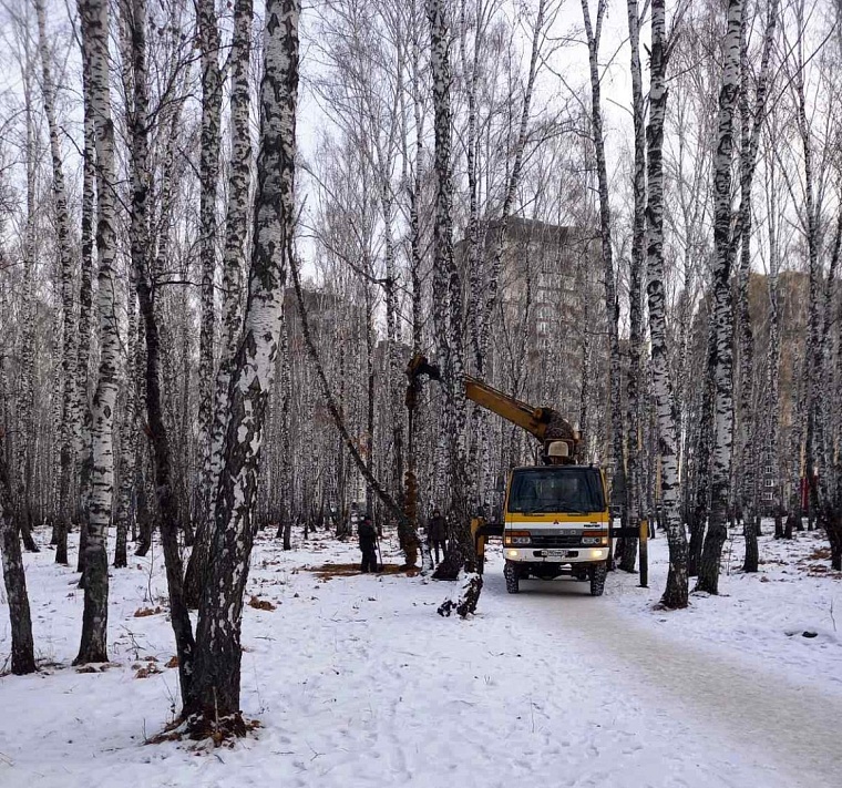 В лесном массиве на улице Дружбы монтируют опоры освещения