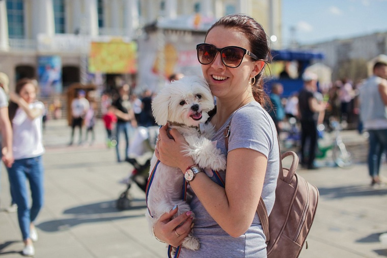 Афиша на уик-энд: фестиваль «Жара», «АрМИ-2019» и гонки в Силкином логу