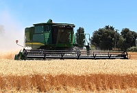 Аграрии Тюменской области собрали один миллион тонн зерна