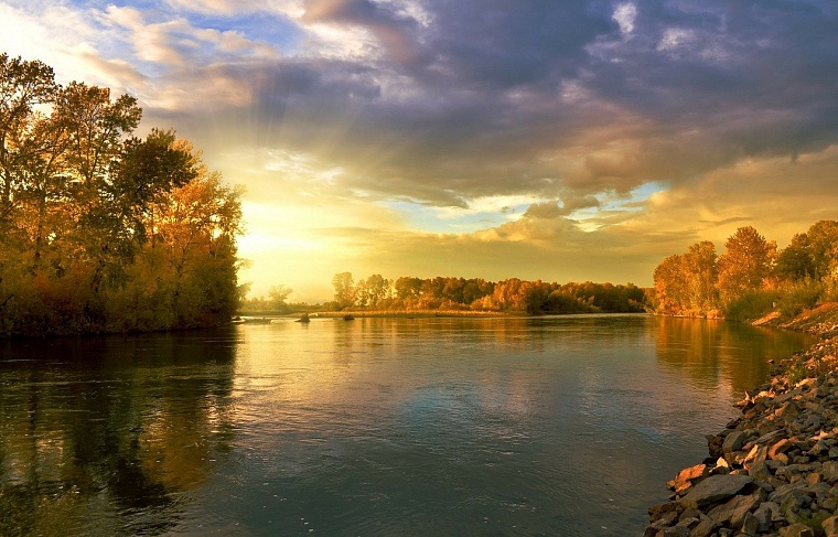 Фото: Pixabay