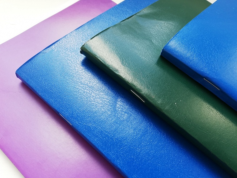 Разработчики заданий ЕГЭ проведут бесплатные консультации для 11-классников