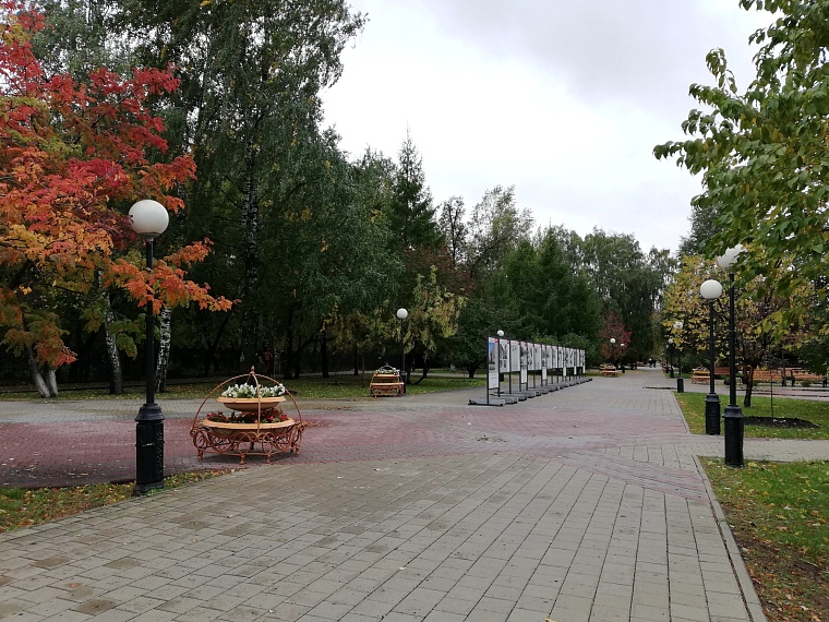 В Тюменской области прогнозируют похолодание до нуля градусов и ветер порывами 18 м/с