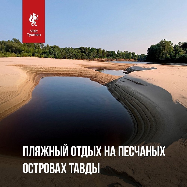 Афиша на уик-энд: квиз по искусству, йога в парке и этнические барабаны