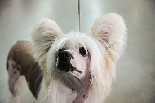 Малышка на миллион