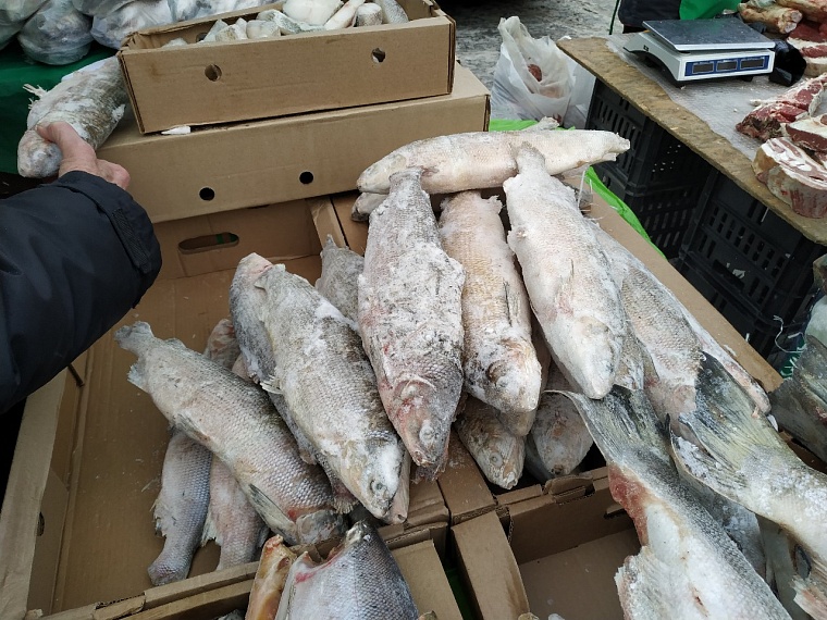 На ярмарке фермерских продуктов в Тюмени идёт бойкая торговля