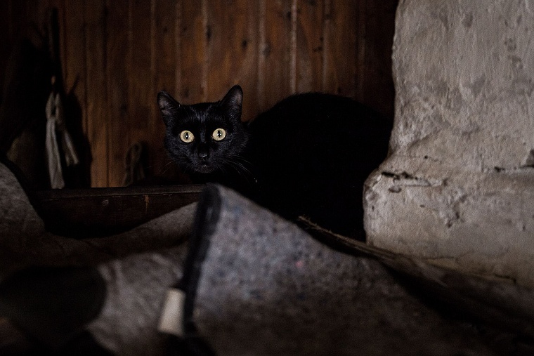 Сибирский отшельник: как тюменец почти 40 лет живет один в лесной глуши