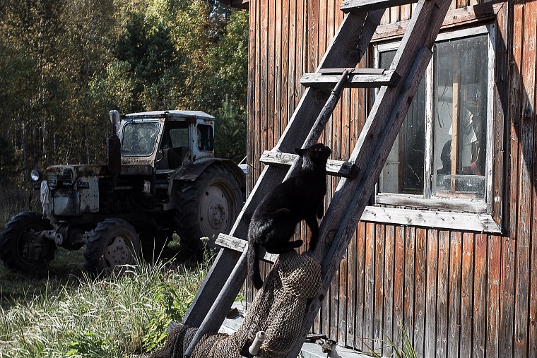 Сибирский отшельник: как тюменец почти 40 лет живет один в лесной глуши